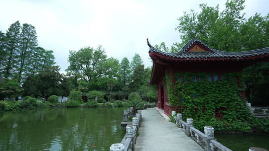 武汉东湖磨山景区盆景园