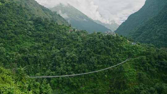 山，树，吊桥，桥