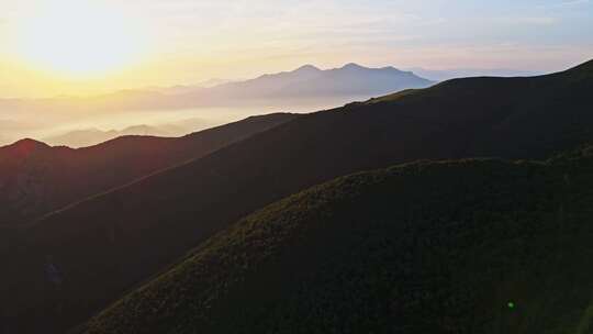 夏季高山草甸绿色森林牧场夕阳航拍