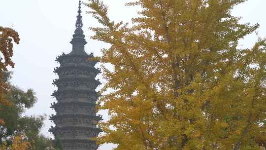 河北正定临济寺澄灵塔