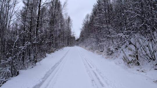 5K行驶在林海雪原的雪路上