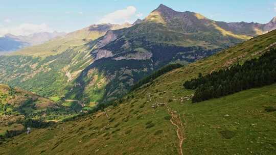 法国比利牛斯山，乡村，树木，绿色