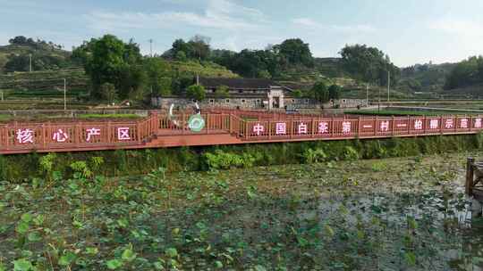 航拍福建宁德福鼎太姥山海上仙山风光