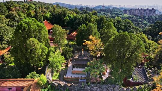 云南昆明金殿风景区 寺庙 深山古寺