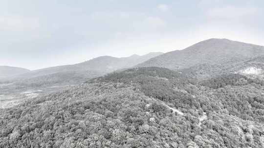 南京老山雪景