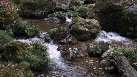 水流流水青苔植被