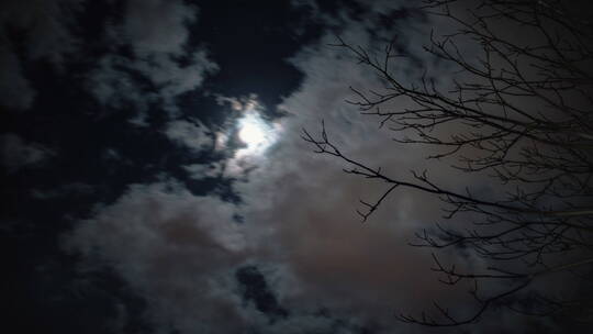 延时拍摄夜晚乌云遮盖的月亮和树影