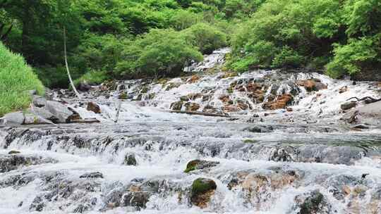 四川阿坝茂县松坪沟