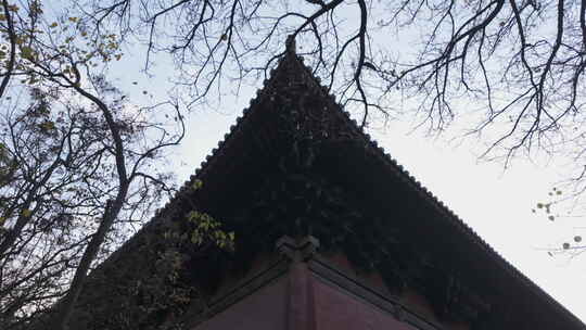 山西大同善化寺历史建筑