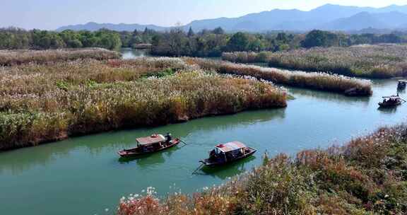 中国杭州西溪湿地秋日美景
