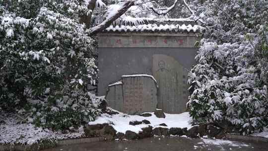 公园雪景