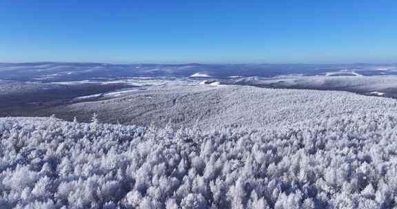 林海雪原大气雾凇20250102 (9)