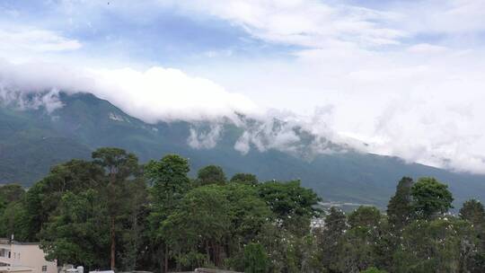 大理苍山花海花园高清航拍素材