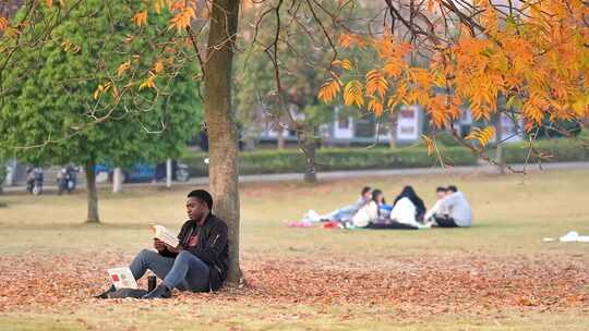 金秋时节大学校园非洲留学生读书