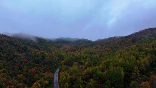 4K航拍重庆大巴山公路