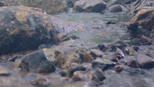 溪水 山涧水流 小溪流特写 岩石 清澈
