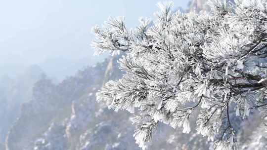 伏牛山冬季雪景云海雾凇