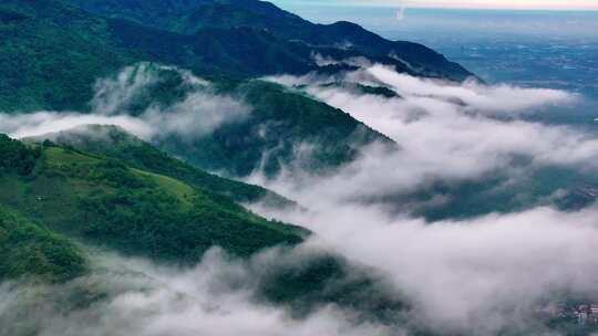 航拍森林云雾云海 秦岭山脉