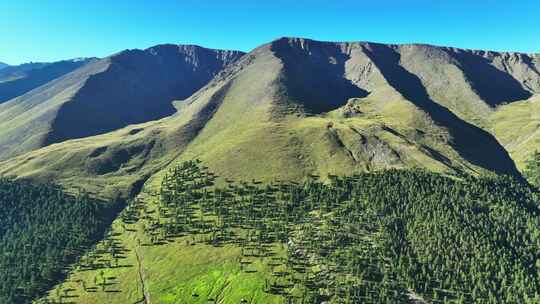 航拍原始森林高山草原风光