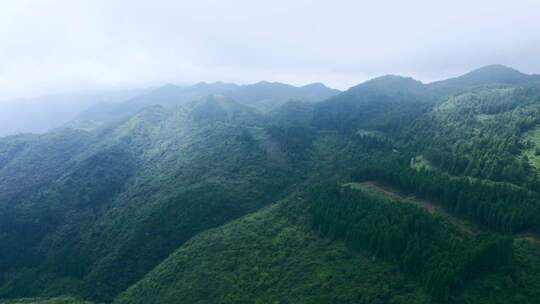 航拍武陵山绿色自然景观
