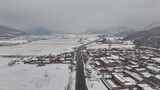 松树雪景 大雪 小雪 暴雪高清在线视频素材下载