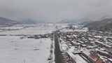 松树雪景 大雪 小雪 暴雪高清在线视频素材下载
