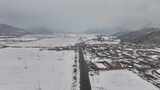 松树雪景 大雪 小雪 暴雪高清在线视频素材下载