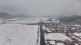 松树雪景 大雪 小雪 暴雪高清在线视频素材下载