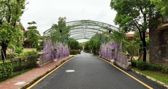 度假村泳池旅游景点航拍