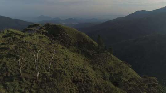 4K唯美高山林海