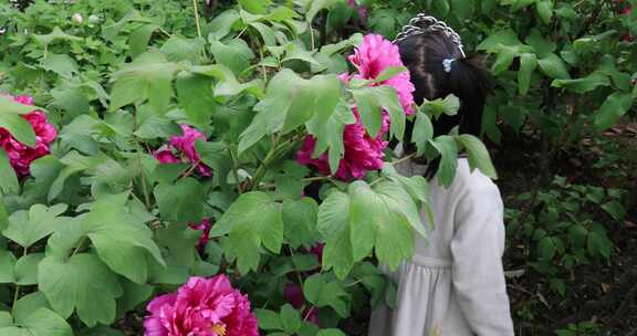 牡丹花丛中的可爱女孩 赏花闻花玩耍笑容