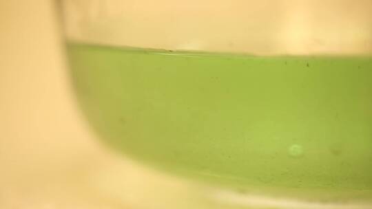 食品添加剂绿茶瓜子掉色