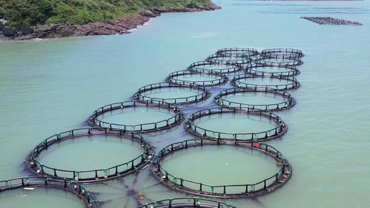 浙江台州大陈岛海洋牧场