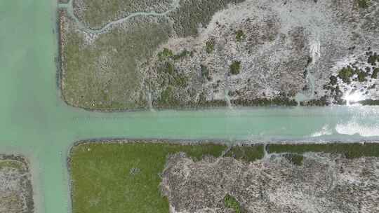 惠州盐洲海洋湿地公园-红树林湿地风光