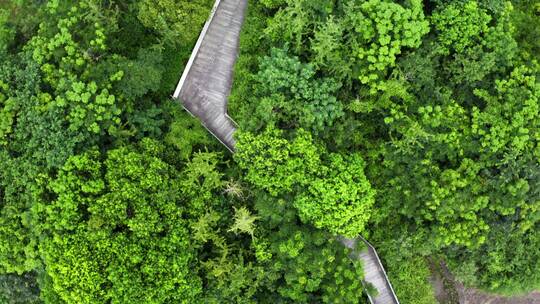 航拍河边公园道路