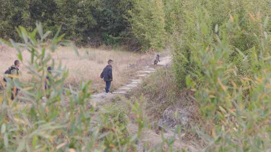 秋游亲子踏青：行走在田埂的竹林古道上