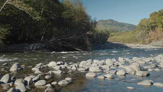 溪流，岩石，树木，水