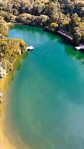 森林湖泊俯瞰全景