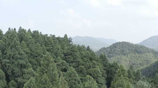 原创航拍天台山华顶国家森林公园4K-7