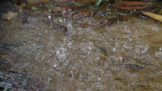 雨滴落入水坑荡起涟漪