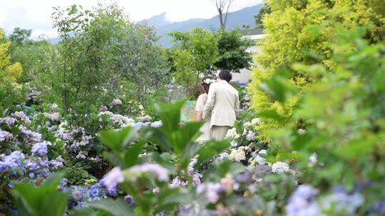 绣球花花语植物园