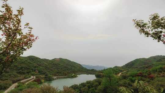 宁波余姚四明山春天樱花下侧弧环地平弧延时