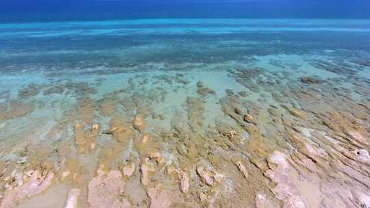 白沙珊瑚礁