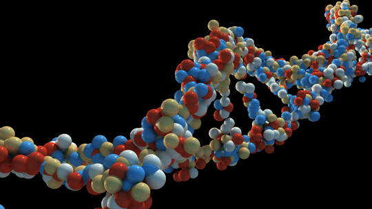 病毒 细胞 细菌 dna 螺旋