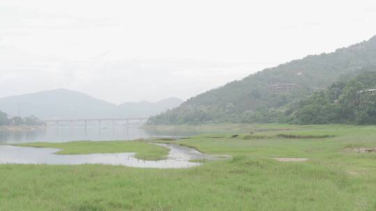 乡村世外桃源小溪溪流自然生态溪边河流