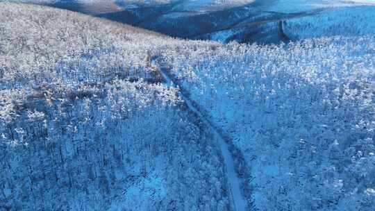 航拍银装素裹的林海雪原