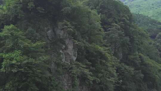 大山险要岩壁林木骏景