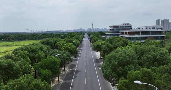 城市绿地和中间的道路航拍