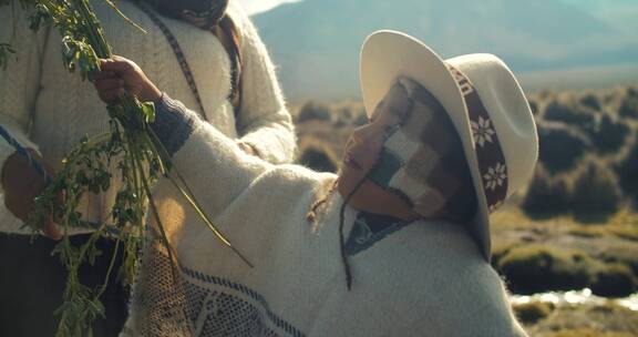 玻利维亚儿童喂养羊驼的特写镜头