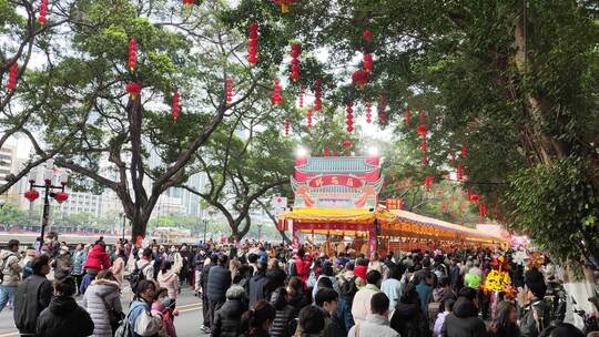 迎春花市视频素材模板下载